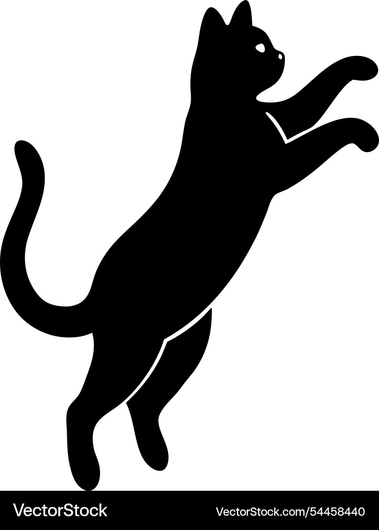 Silhouette of a cat jumping and running in motion Vector Image