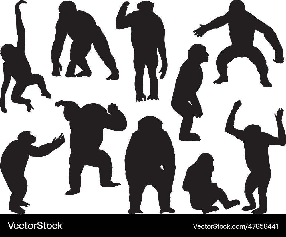 Chimpanzee Silhouette Artwork Vector Image