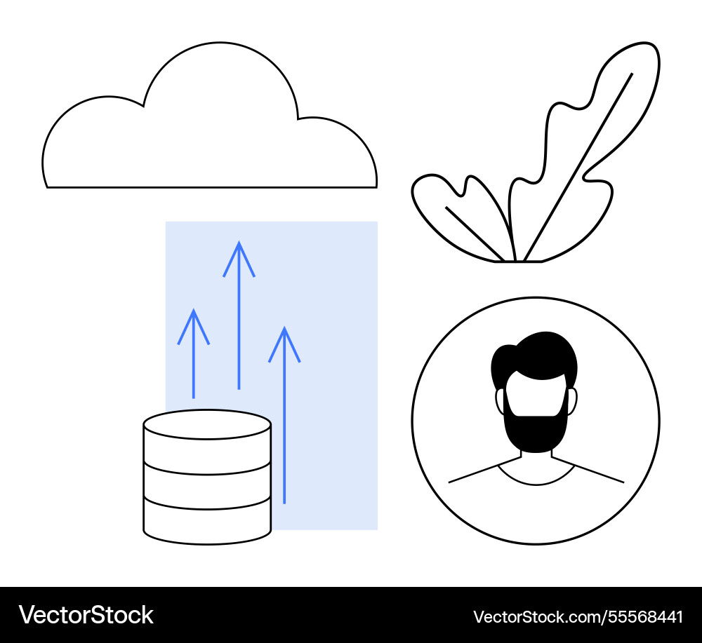 Cloud technology data storage user profile Cloud technology data storage user profile vector image