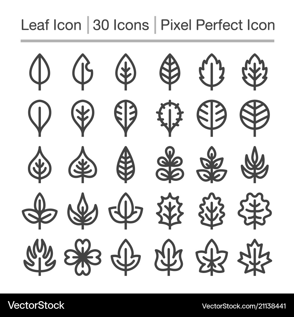 Leaf Line Icon Set Royalty Free Vector Image - VectorStock