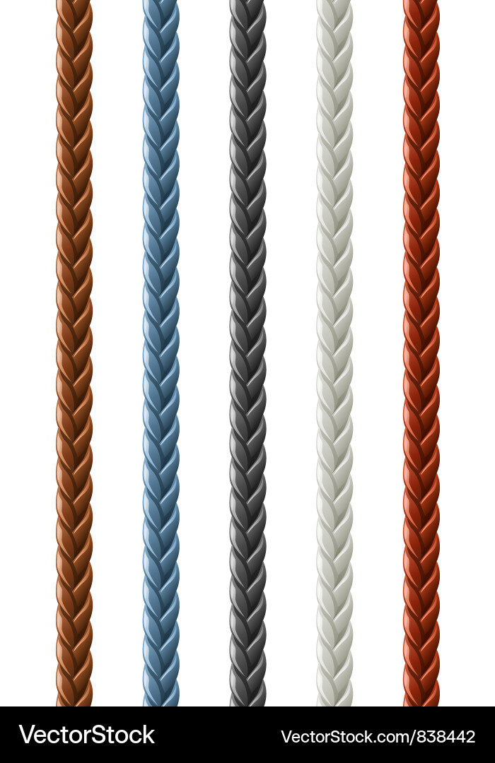 Braided Leather Plait Vector Image