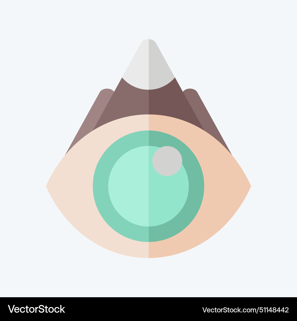 Icon view point related to navigation symbol flat Vector Image