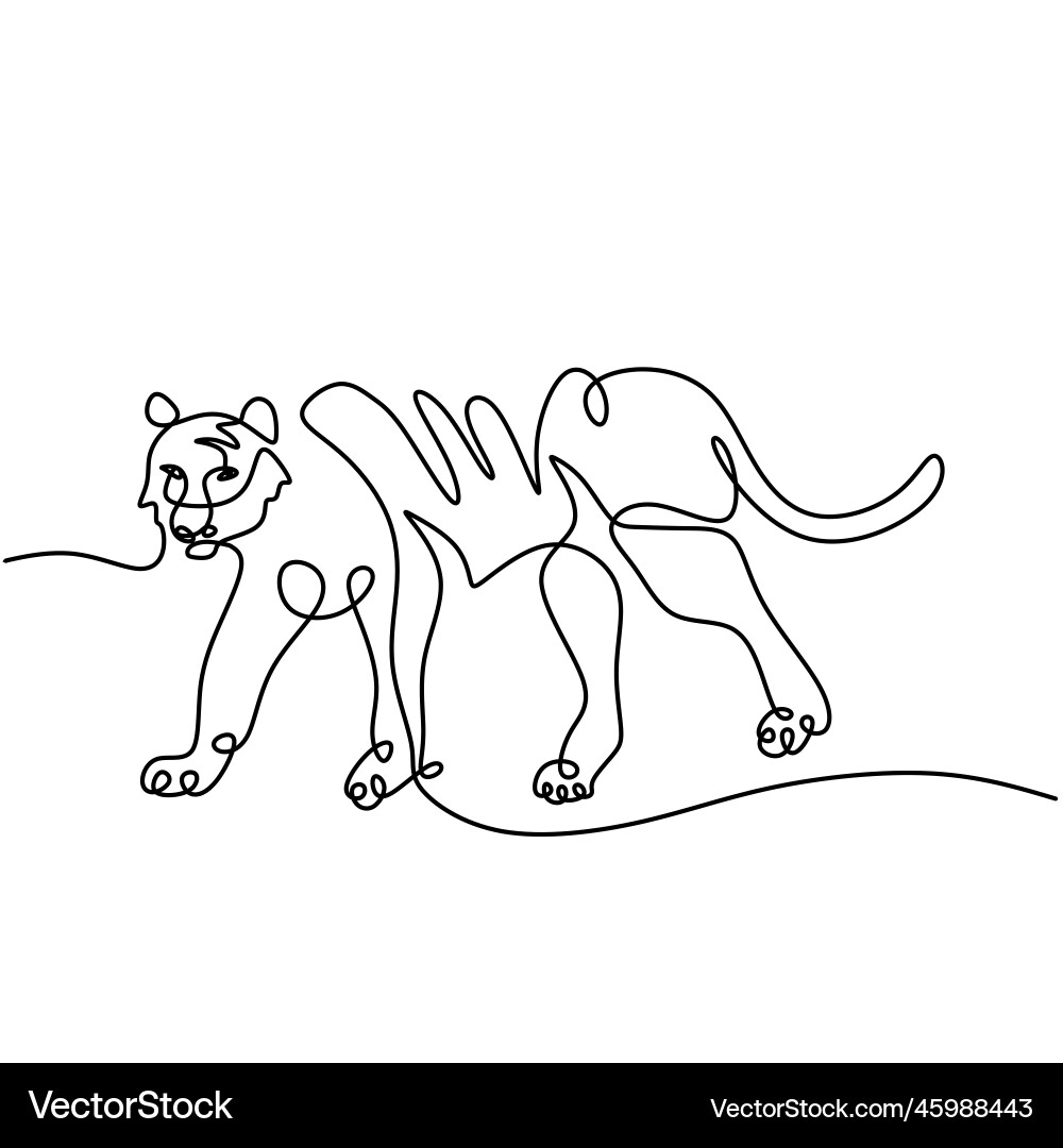 Continuous one line drawing of tiger running Continuous one line drawing of tiger running Vector Image