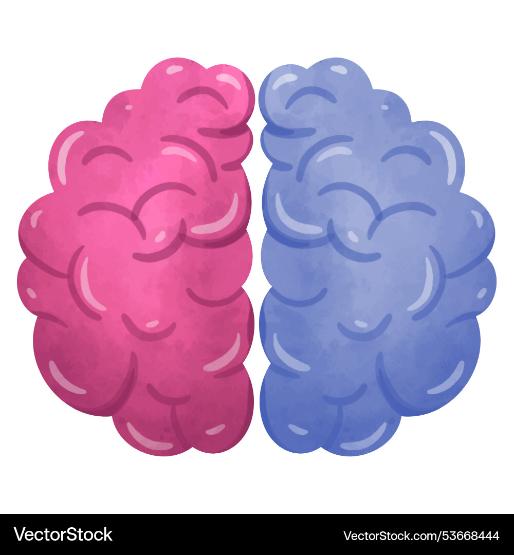 Human brain left right Royalty Free Vector Image