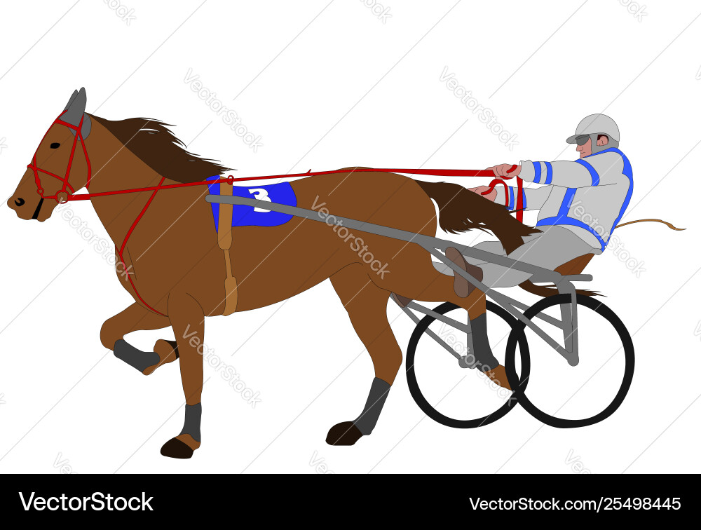 Horse and jockey harness racing color vector image