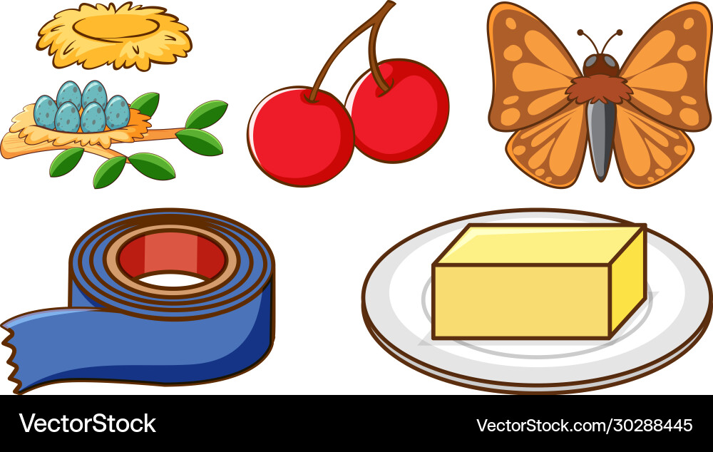 Large set different animals and other objects Large set different animals and other objects vector image