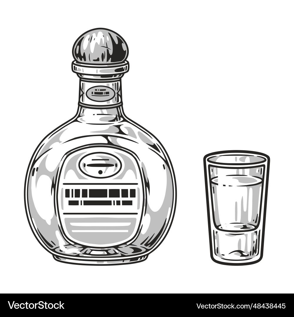 Tequila drink detailed logotype monochrome vector image