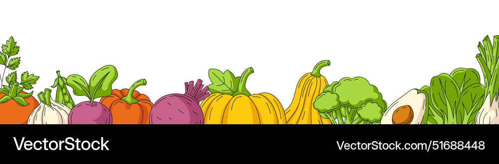 Vegetables background narrow horizontal banner Vegetables background narrow horizontal banner vector image