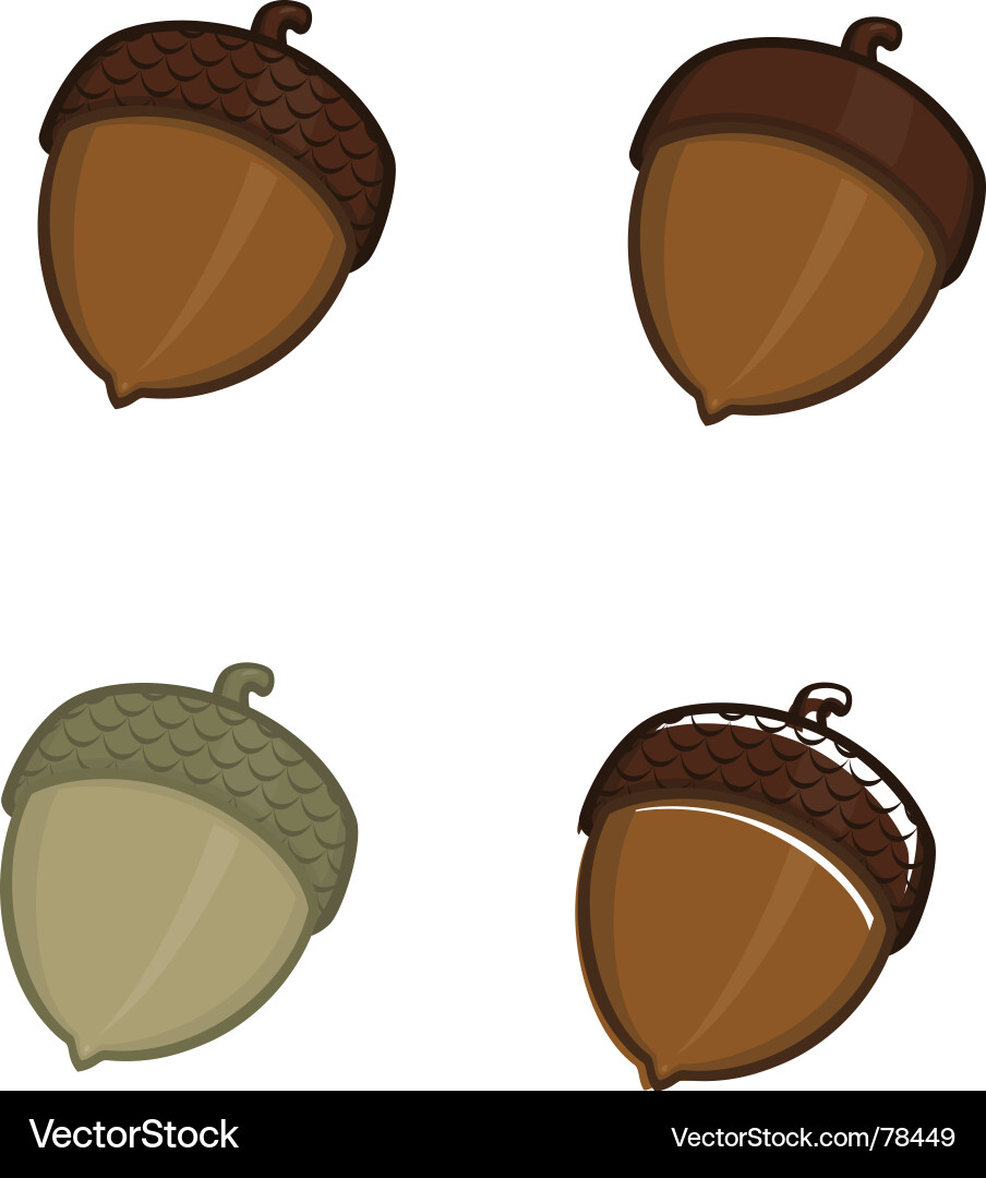 Acorn Icon - Collection Vector Image