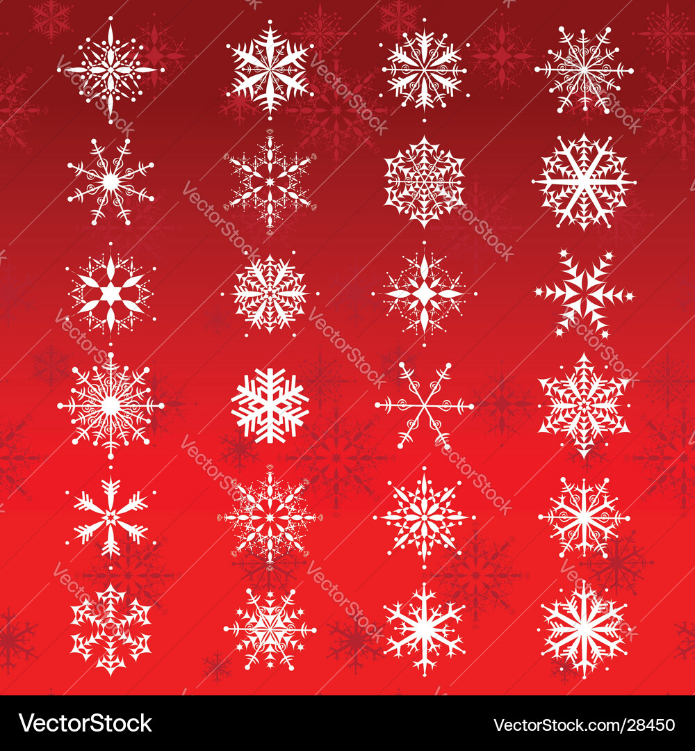 Snowflake Collection - 24 Elements Vector Image