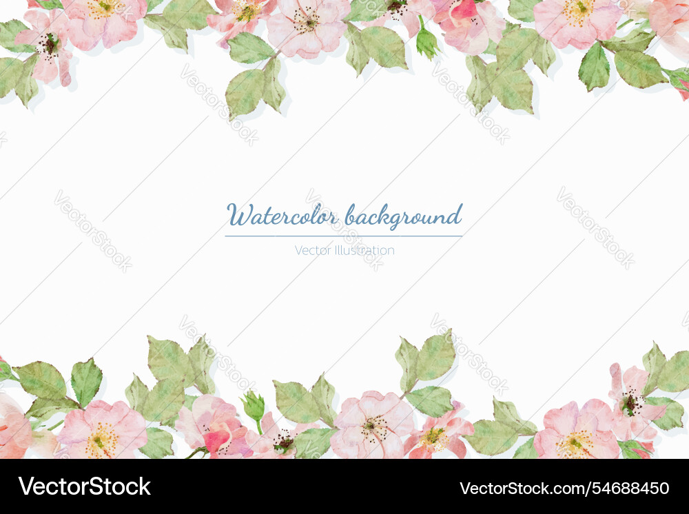 Watercolor pink old rose clair martin english Vector Image