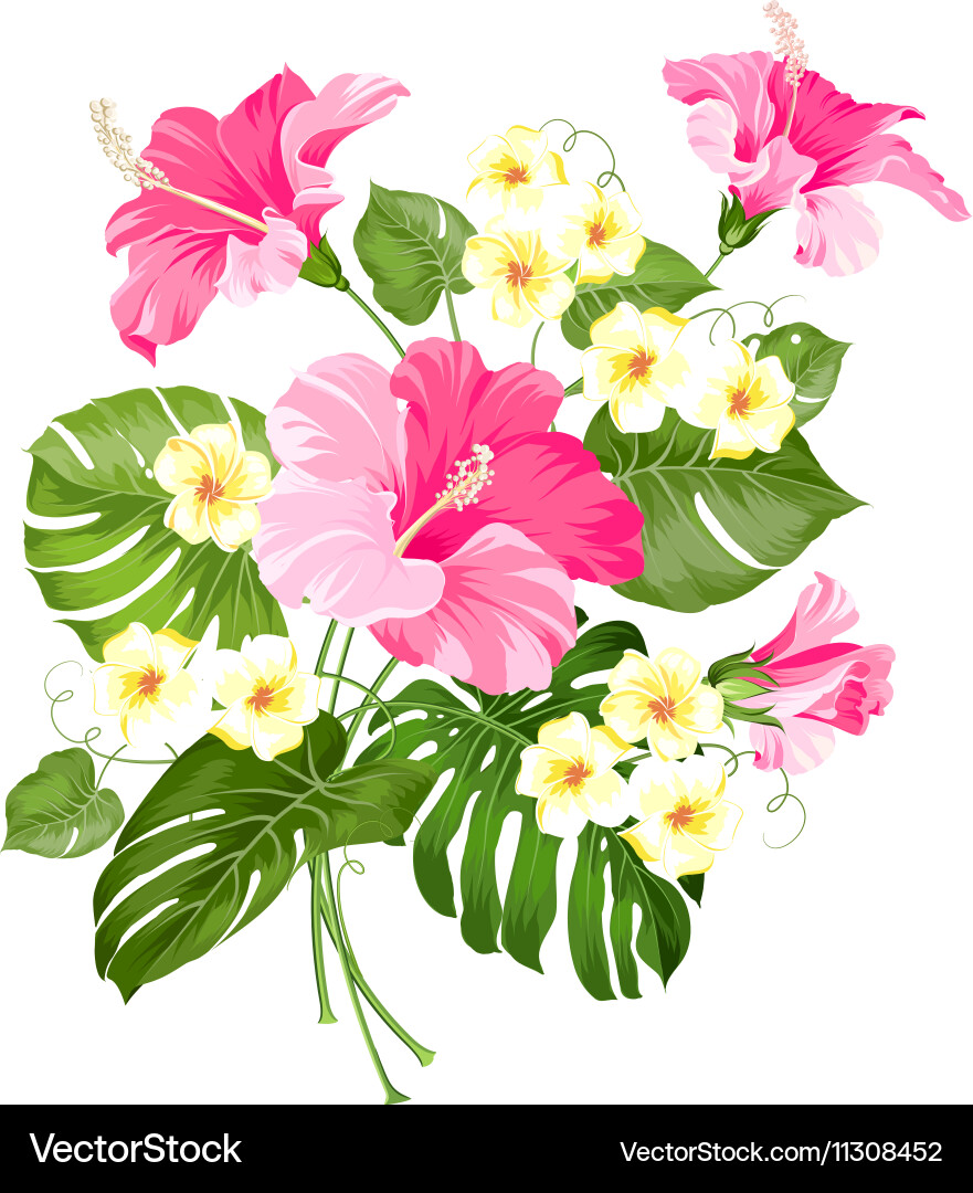 Floral garland card Vector Image