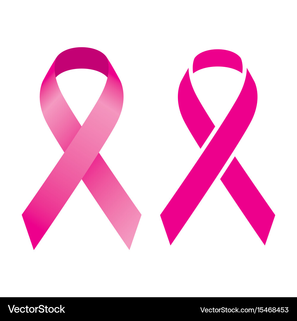 Two identic icon objects vector image