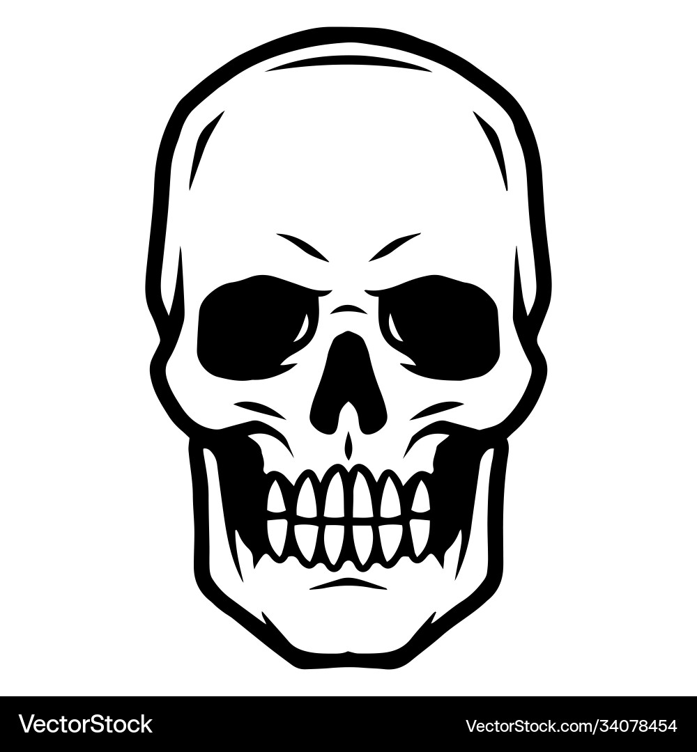 Vintage Human Skull Tattoo Vector Image