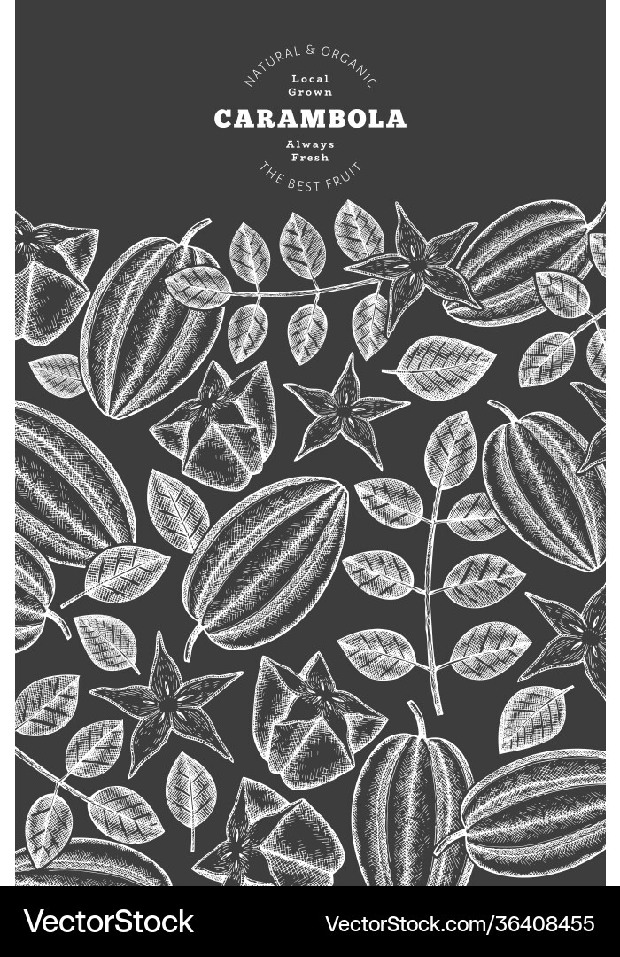 Hand drawn sketch style carambola banner organic Hand drawn sketch style carambola banner organic vector image