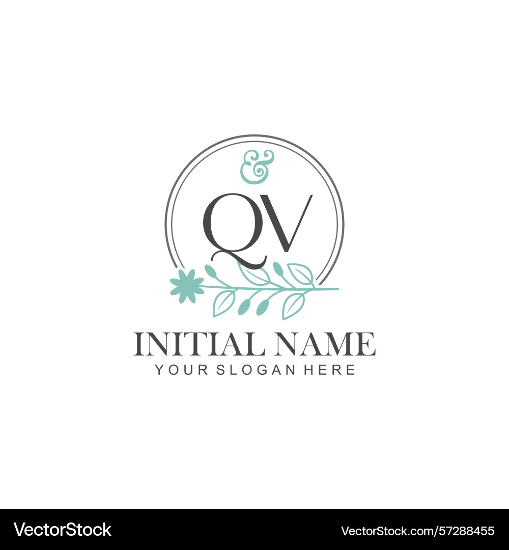 Qv initial logo templates with botanical elements Vector Image