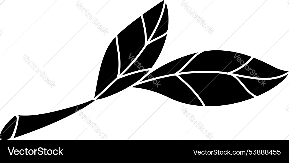 Tree branch with leaves - silhouette image Vector Image