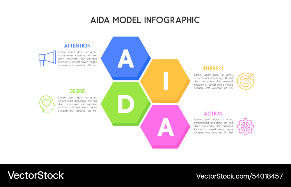 Aida model infographic with hexagonal diagram Aida model infographic with hexagonal diagram vector image