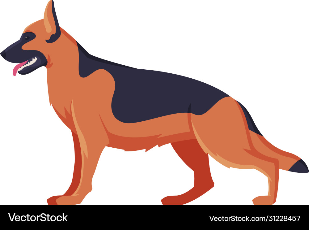 German shepherd purebred dog pet animal side German shepherd purebred dog pet animal side vector image