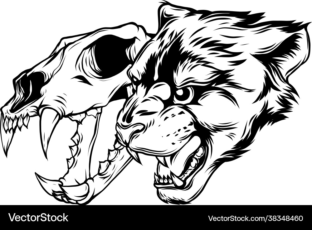 Cougar Skull - Powerful Predator Vector Image