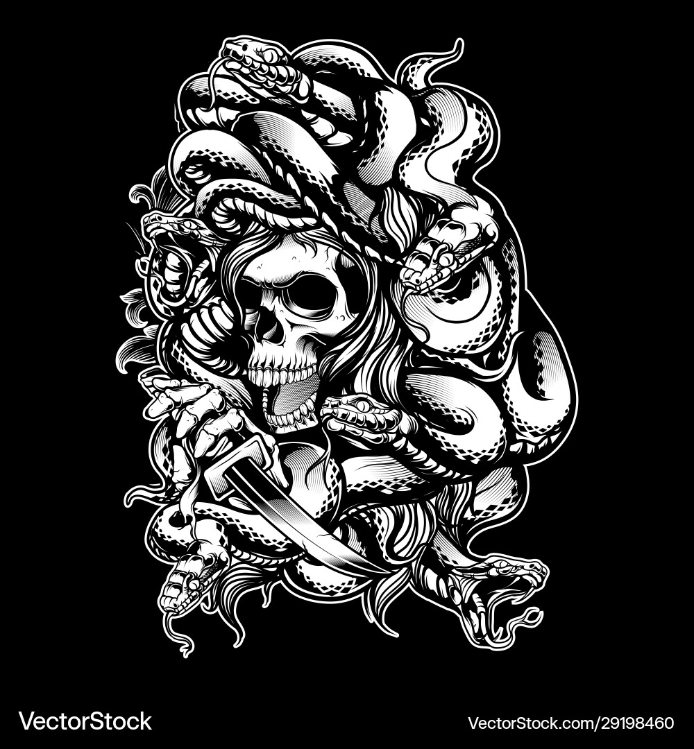 Medusa's Harbor: Snake & Skull Vector Image