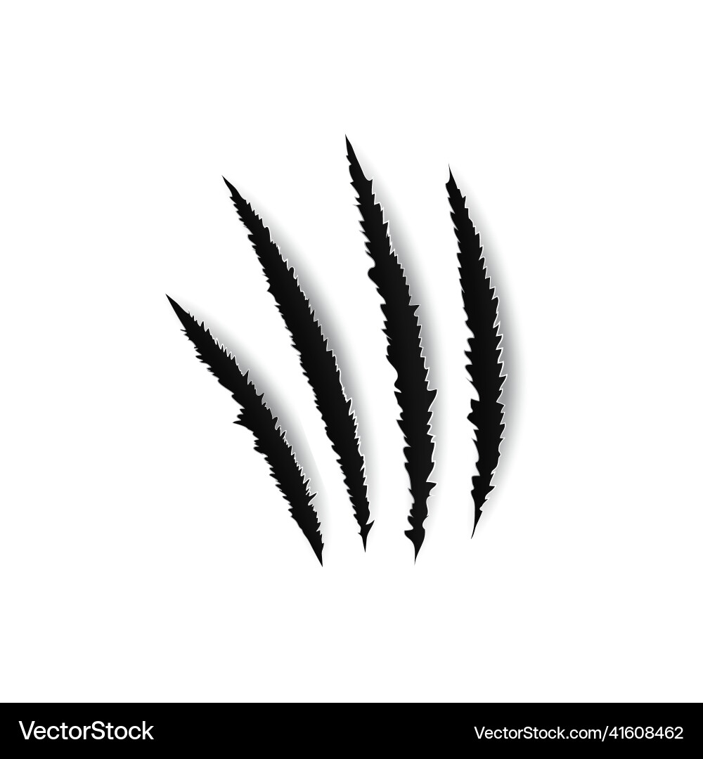 Break traces of lion or bear scratches claw marks Break traces of lion or bear scratches claw marks Vector Image