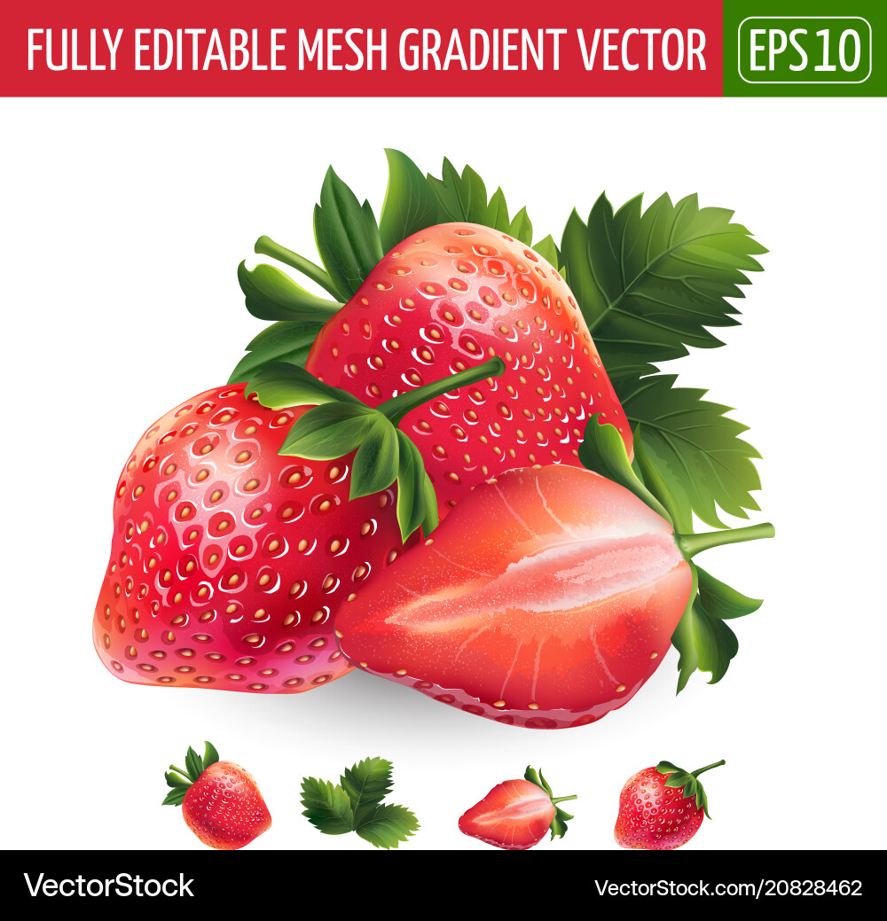 Strawberry on white background Royalty Free Vector Image