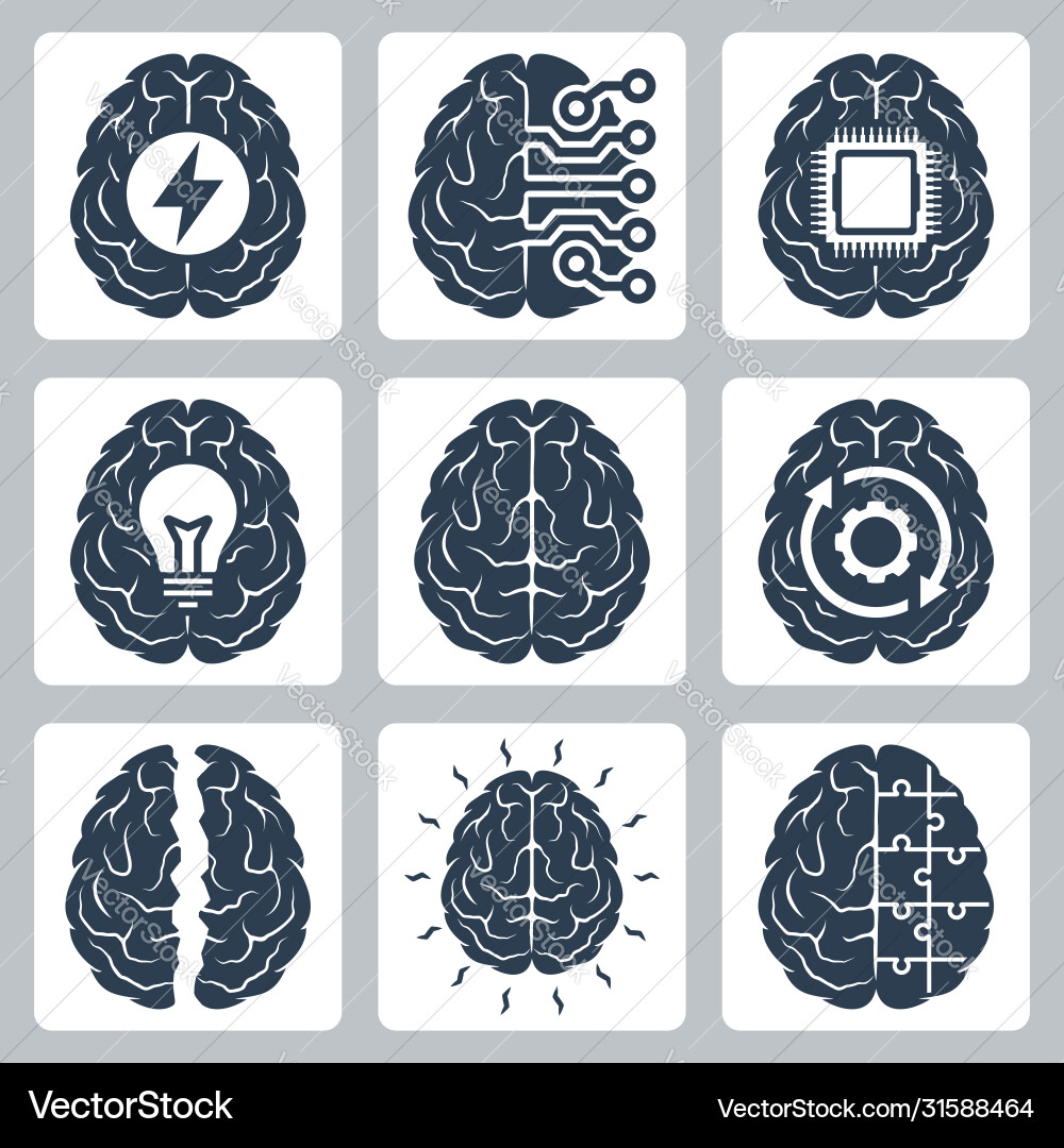 Cognitive Function Brain Icons vector image