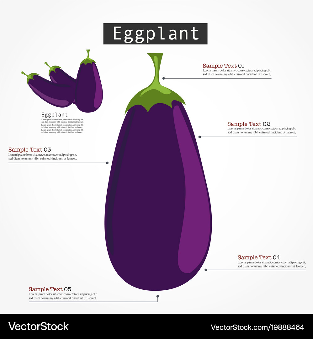 eggplant-collection-vector-