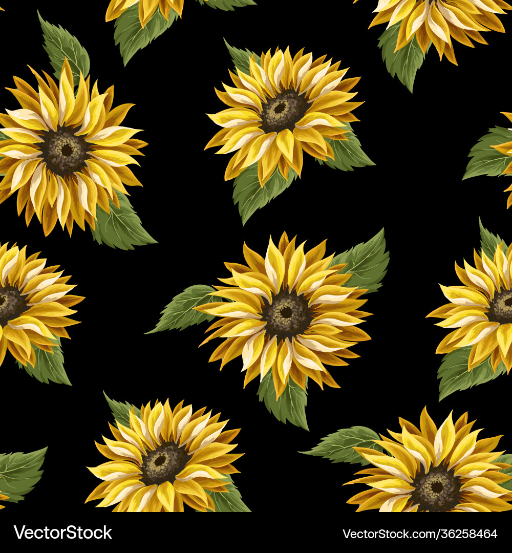Sunflower Pattern - Black Background Vector Image