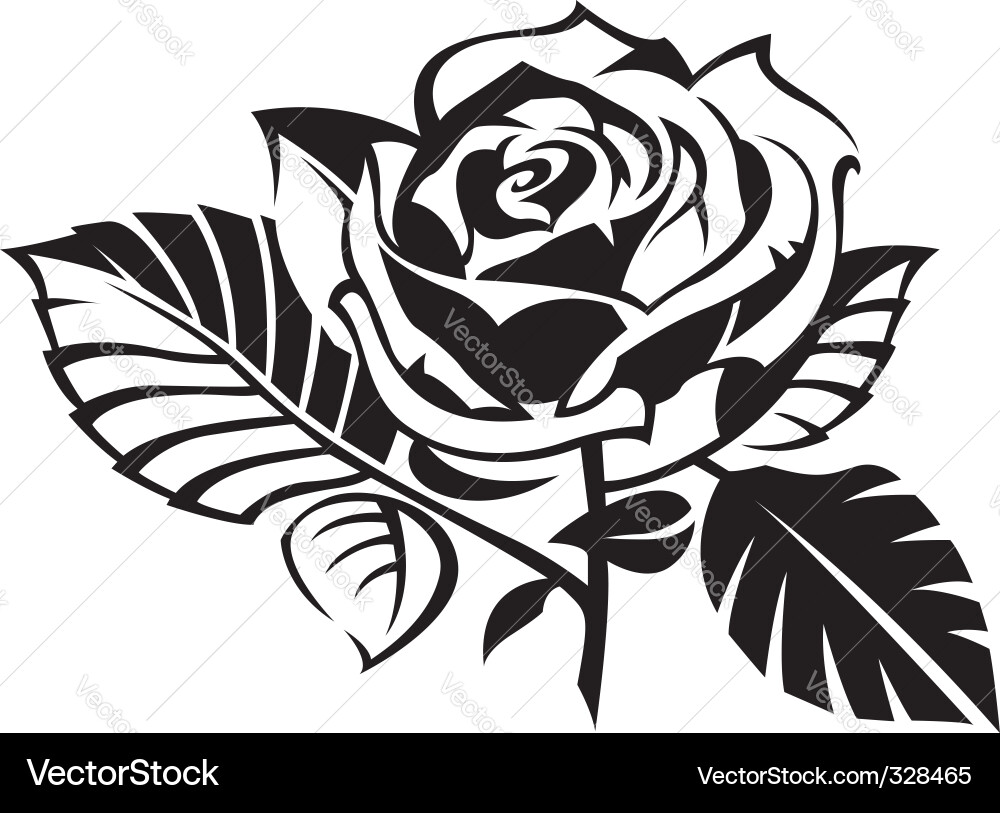Elegant Black Rose Vector Image