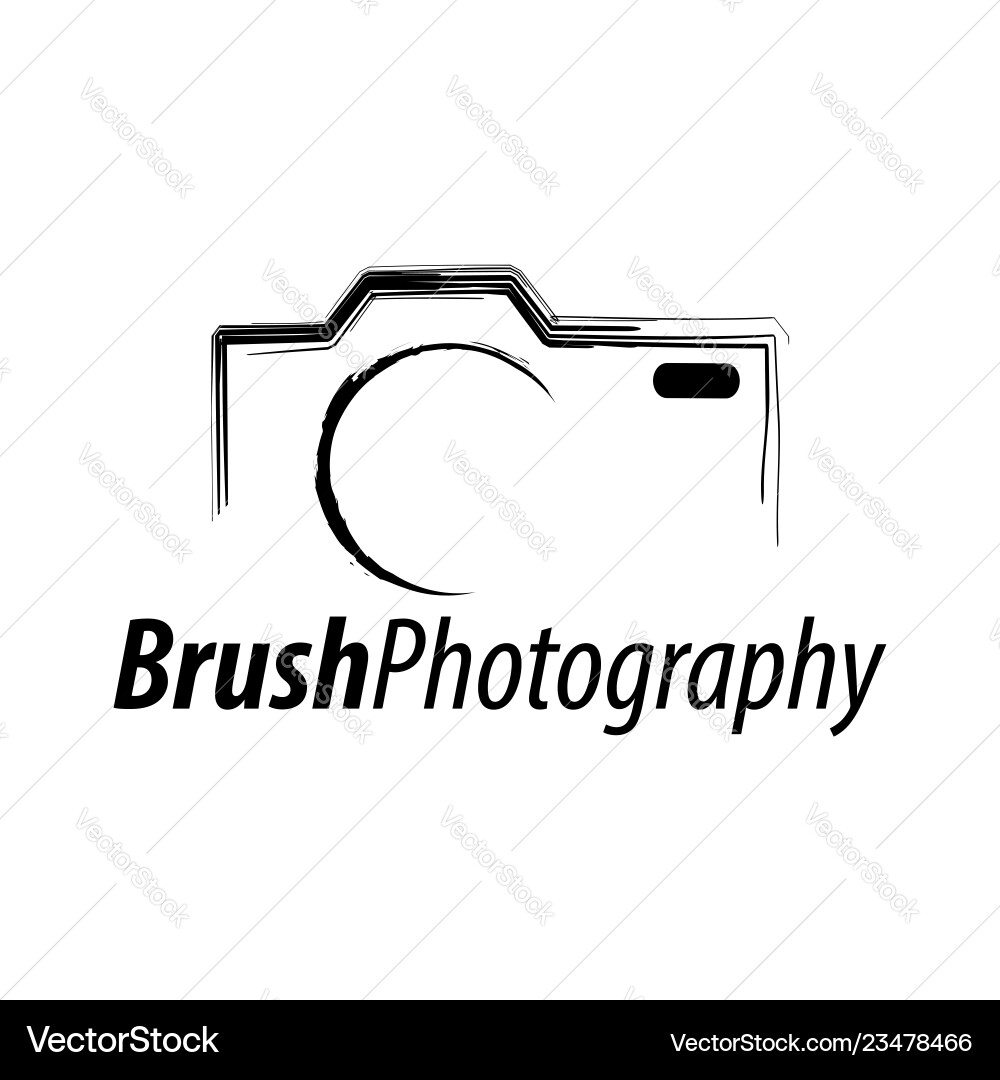 Abstract Brush Camera Icon vector image