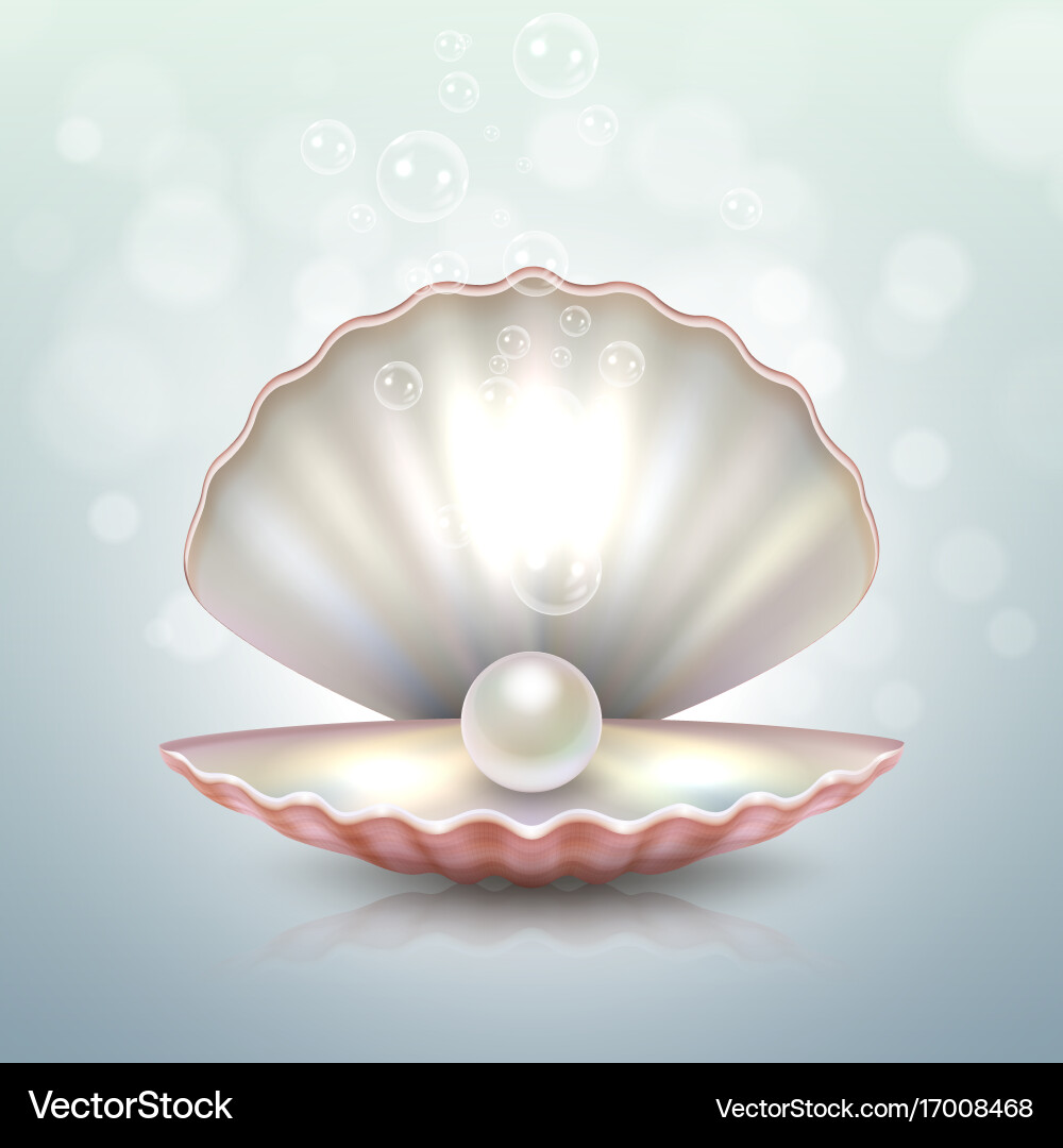 Realistic Open Pearl Shell – Royalty-Free Vector | VectorStock