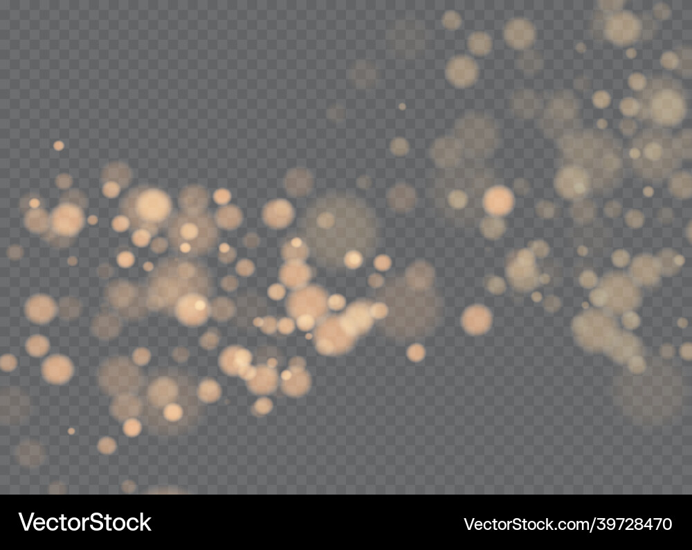 Bokeh background snowflakes isolated Bokeh background snowflakes isolated vector image