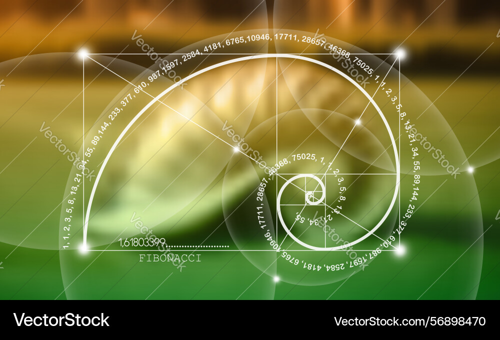 Fibonacci number sequence nautilus section Fibonacci number sequence nautilus section vector image