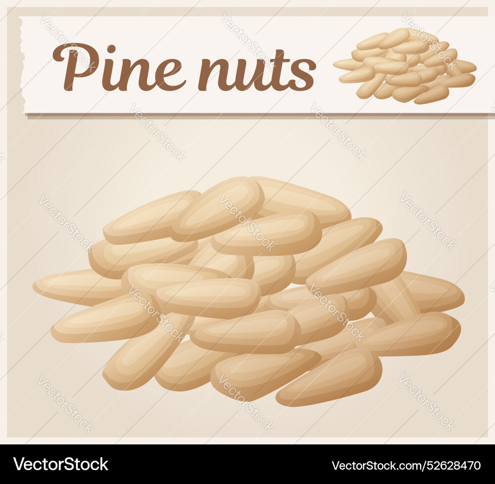 Pile of pine nuts without shells icon Vector Image