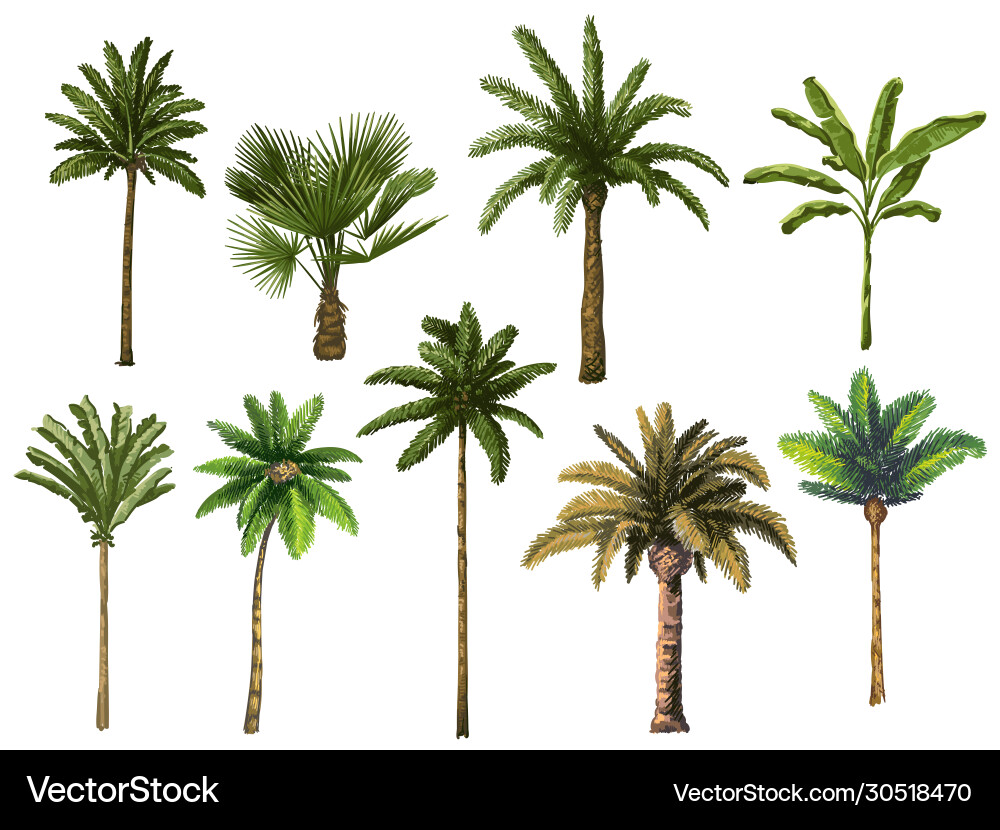 Retro Palm Tree Tropical Print Vector Image