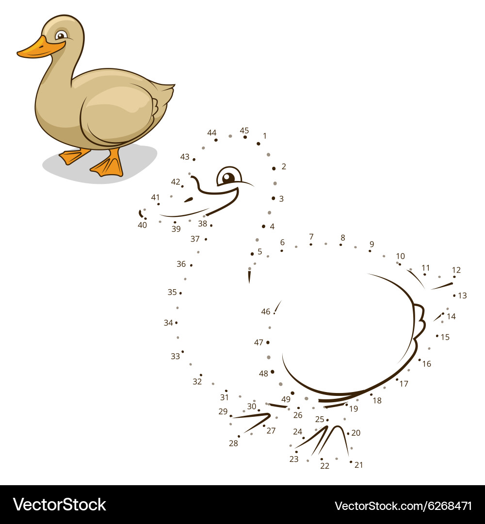 Connect the dots game duck vector image