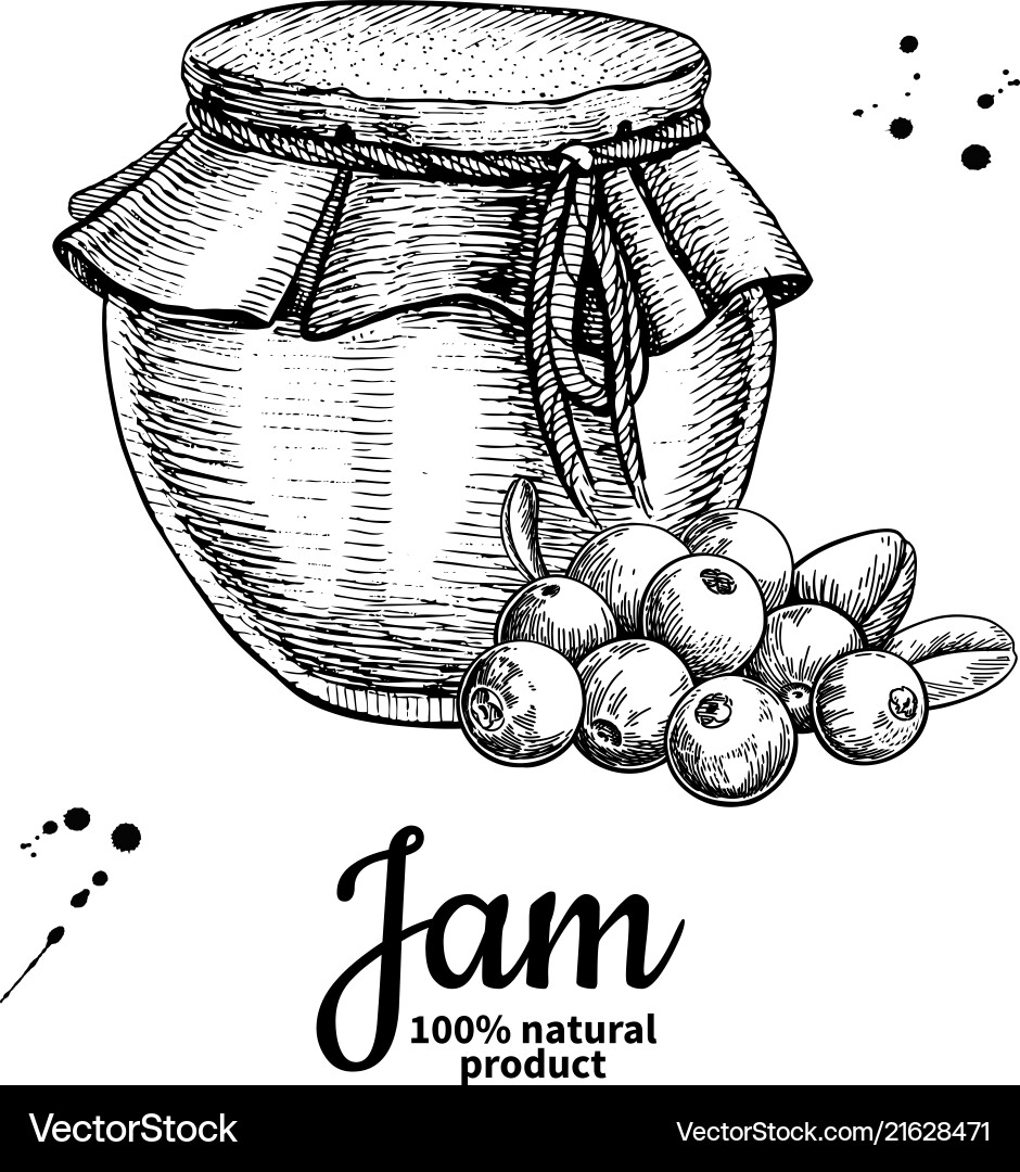 Cranberry jam glas jar Zeichnung frui Cranberry jam glas jar Zeichnung frui vektorbild