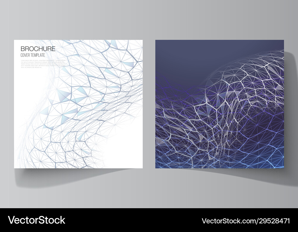 Layout two square format covers design Layout two square format covers design vector image