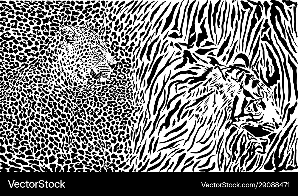 Leopard and tiger pattern background Vector Image