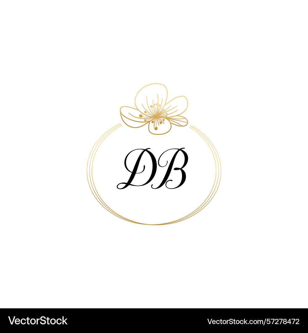 Botanical monogram logos with initial db Botanical monogram logos with initial db vector image