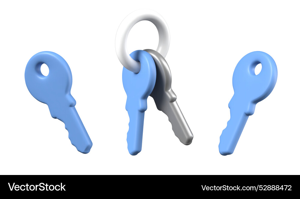 Set of 3d keys various types bundle vector image