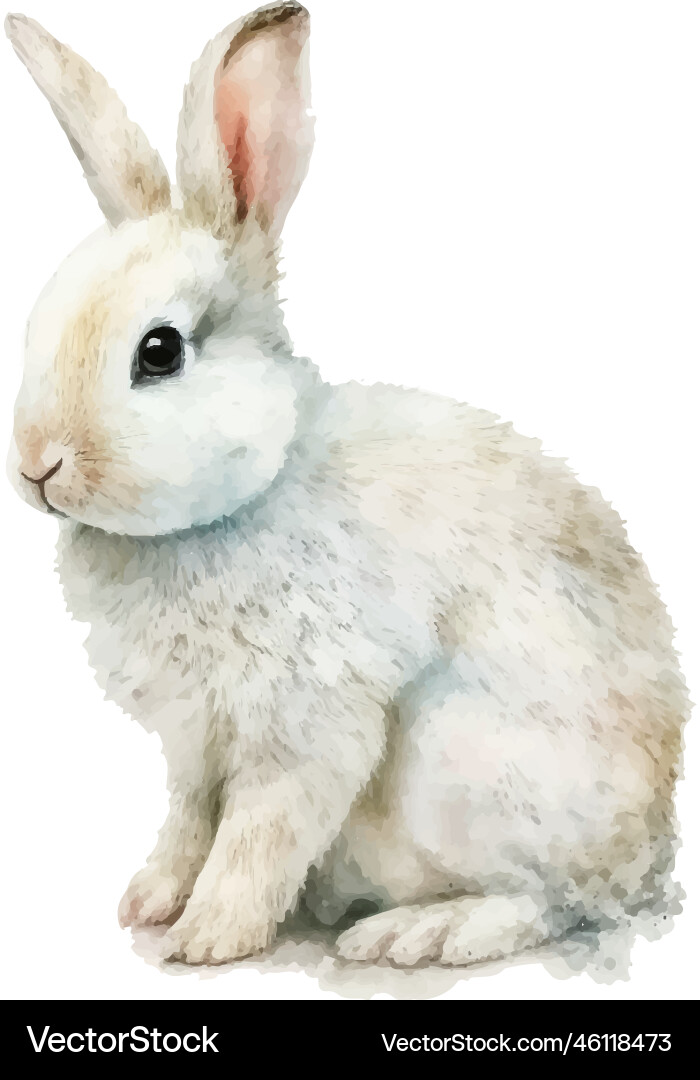 Watercolor easter bunny rabbit on white background Watercolor easter bunny rabbit on white background vector image