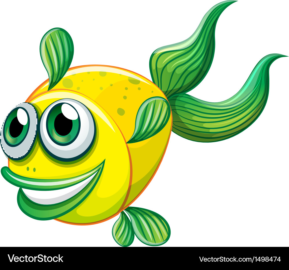 Big Eye Fish, Ugly Fish with Exaggerated Features, Cartoon Illustration  Stock Illustration - Illustration of lips, scalesthe: 274723589, image size:1000x934