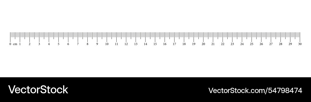 Measuring chart with 30 centimeters ruler scale Vector Image