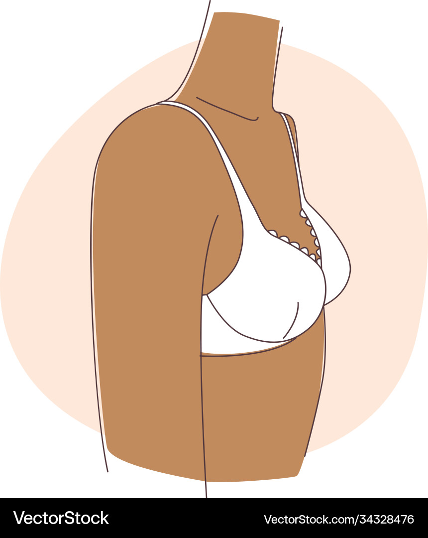 Puberty teenage girl and breast development Puberty teenage girl and breast development vector image