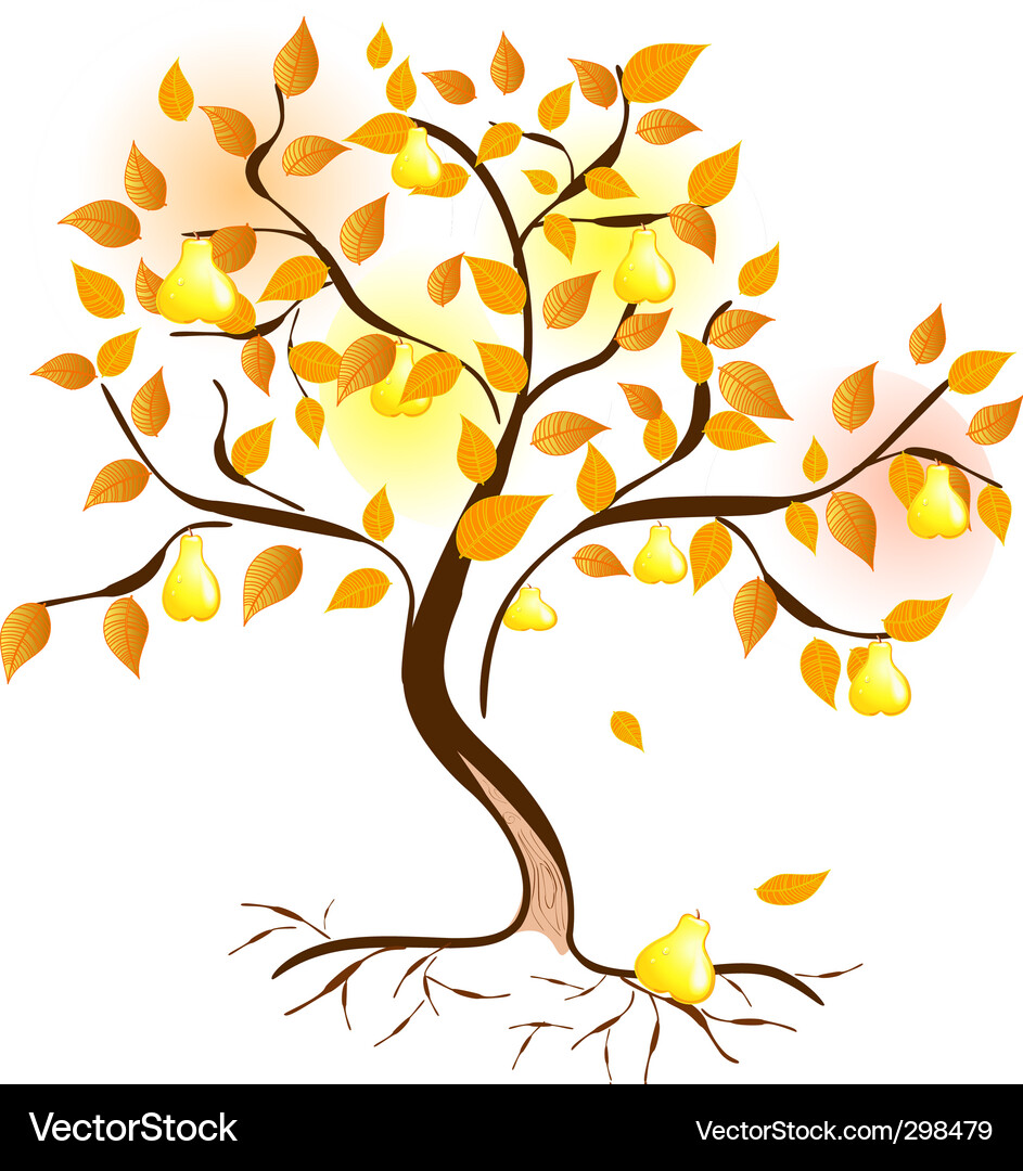Autumn Pear Tree Vector Image