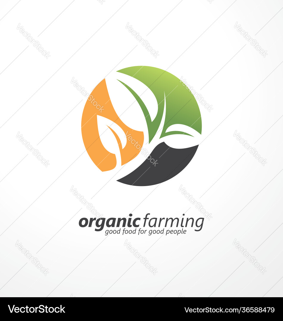 Logo design layout with plant graphic vector image