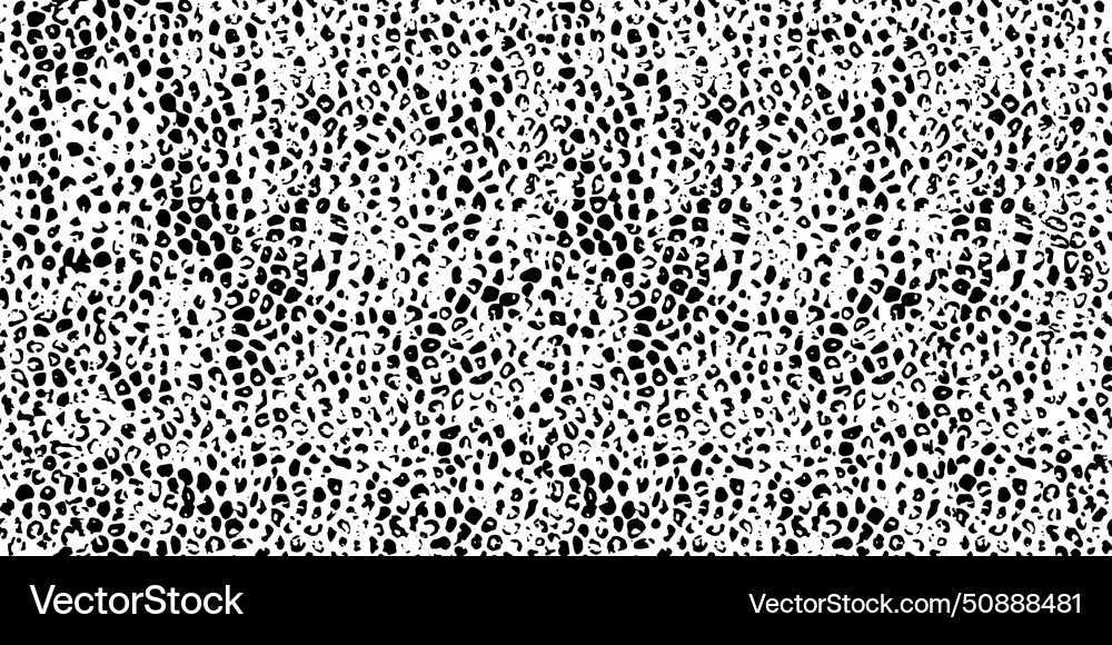 Seamless pattern with wild skin fur texture cat Vector Image